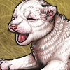 Achromia Wolf Pup [Harlequin] 